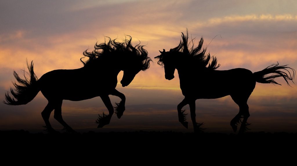 La imagen tiene un atributo ALT vacío; su nombre de archivo es horses-654837_1280-2-1024x575.jpg